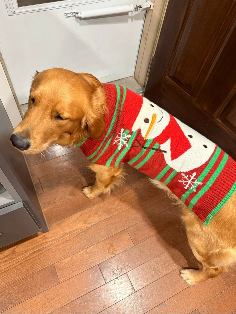 Lot of 3 - FuzzYard Holiday Dog Sweater and jammies- Medium-Large Dog